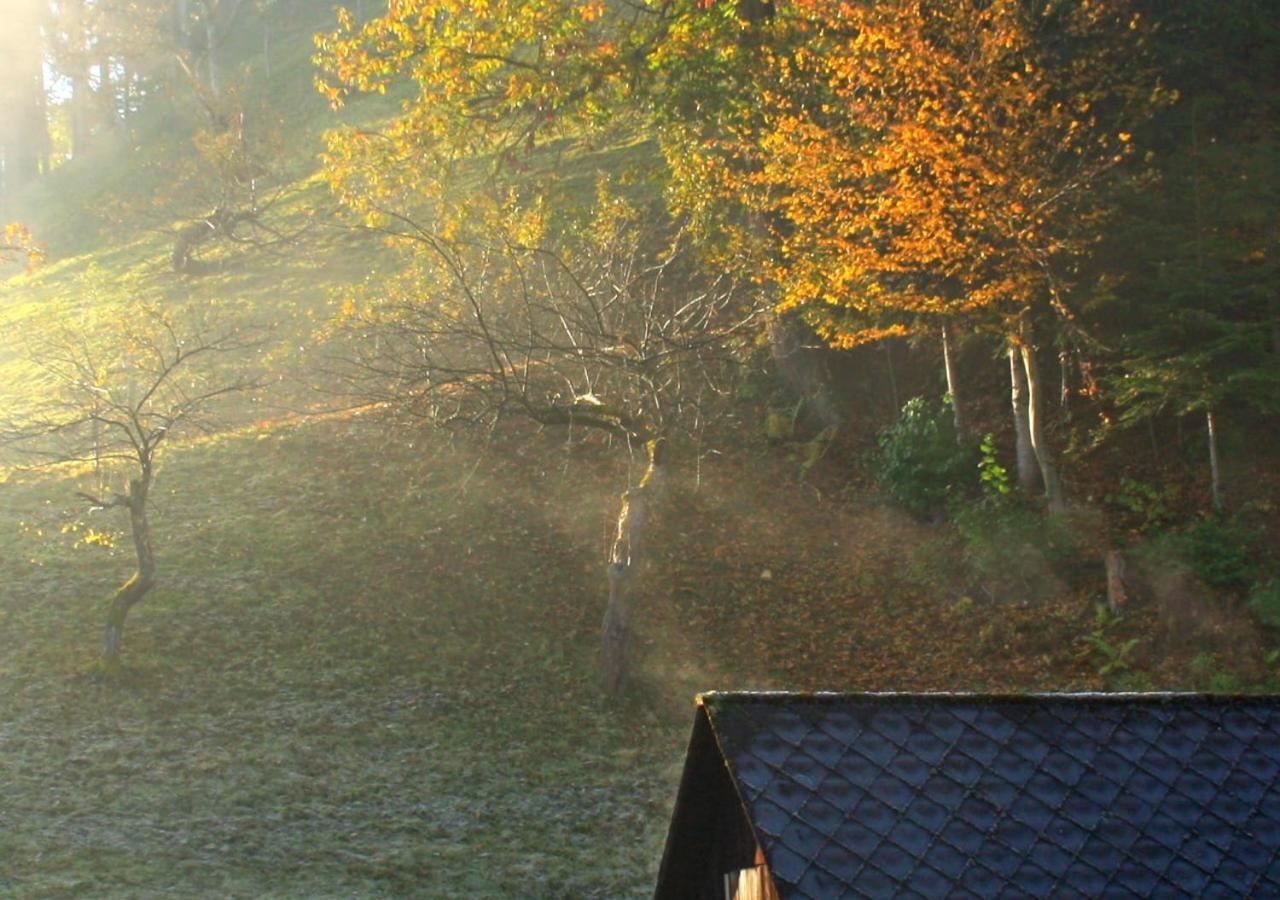 Fewo Gabi Haus Pacher Sankt Peter am Kammersberg Extérieur photo