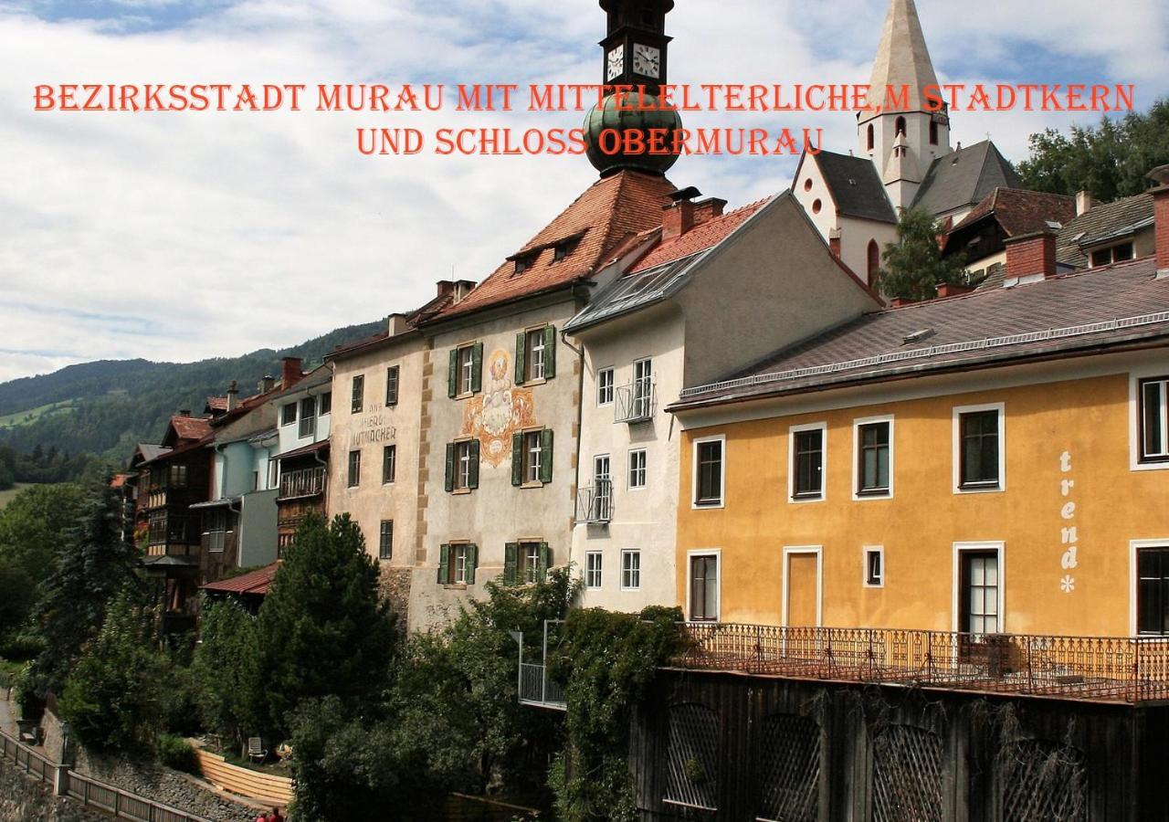 Fewo Gabi Haus Pacher Sankt Peter am Kammersberg Extérieur photo